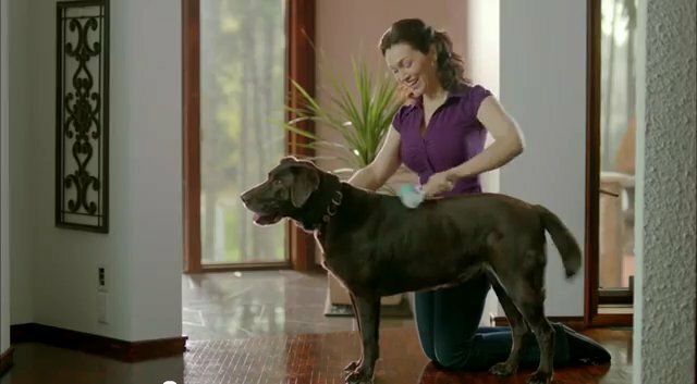Schticky TV commercial --- Schticking it to the dog. Schticky TV commercial --- Schticking it to the dog.