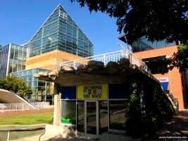Tennessee Aquarium --- Chattanooga, Tennessee